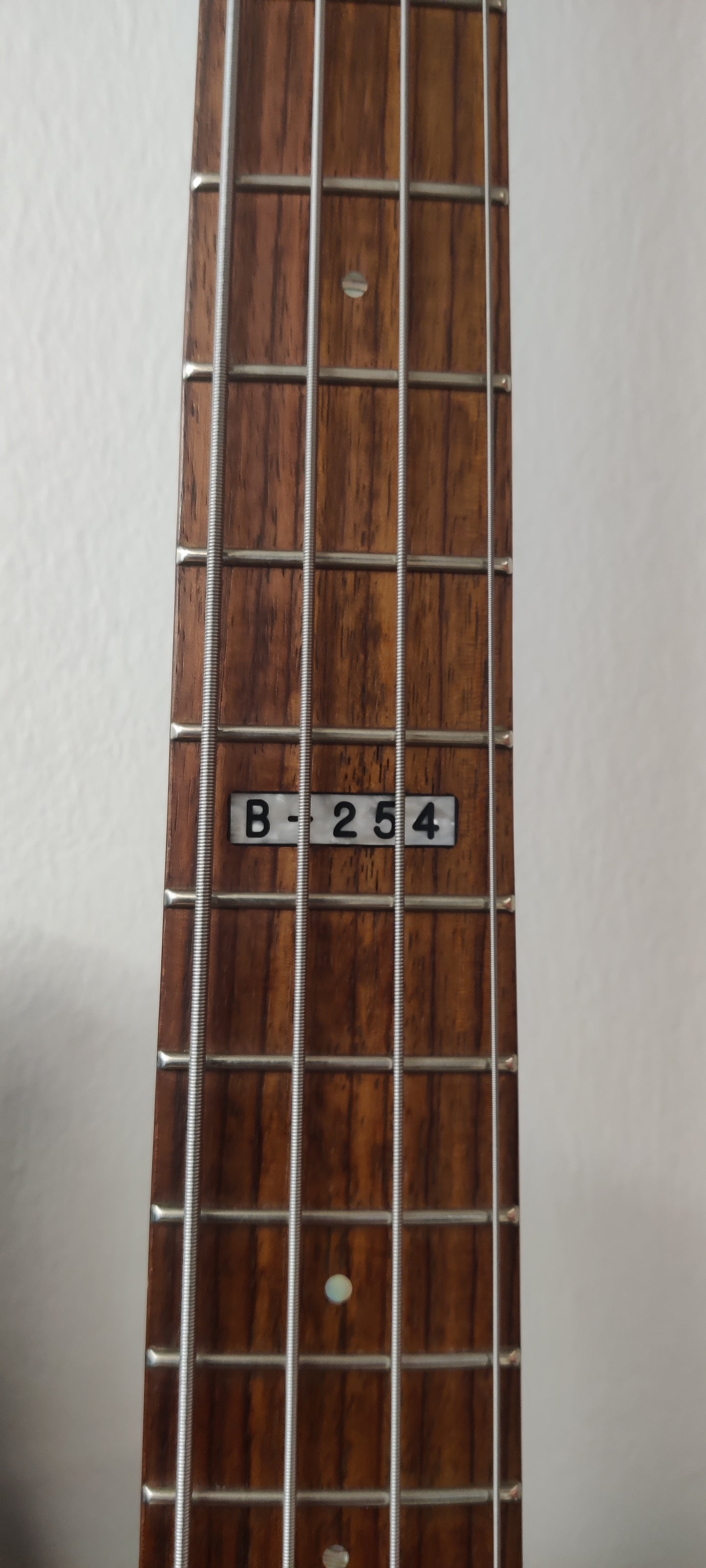 LTD bass B-254 (used) - Aron Soitin