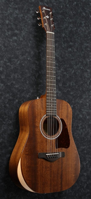 Ibanez AW54 Artwood Junior - Aron Soitin