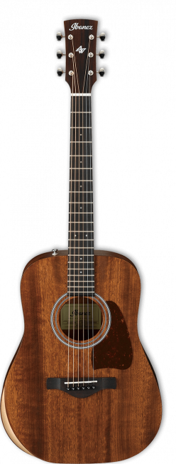 Ibanez AW54 Artwood Junior - Aron Soitin