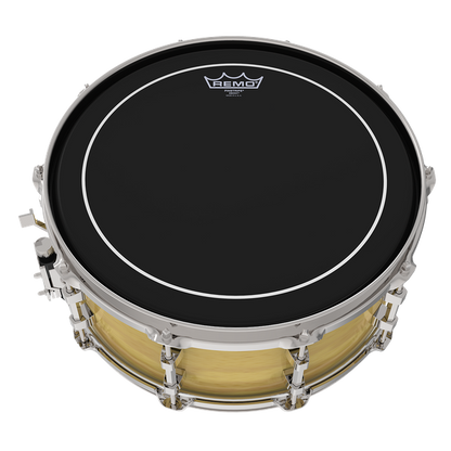 Remo 15" Pinstripe Ebony - Aron Soitin